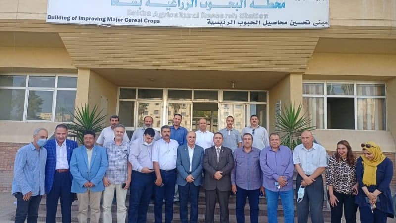 السلامونى والقمري
