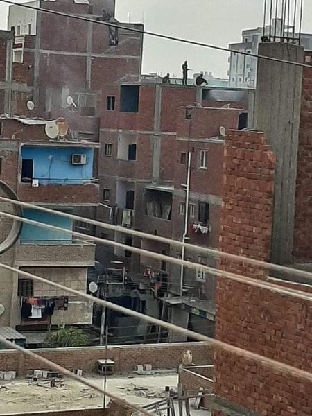 اشتباكات دامية