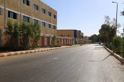 محافظ قنا