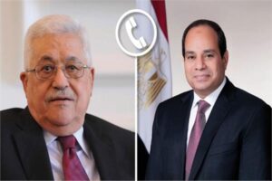 الرئيس السيسى