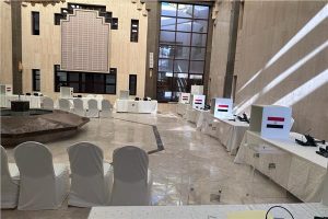السفير المصري
